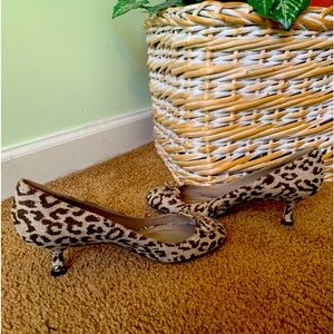 Manola Blahnik leopard pump